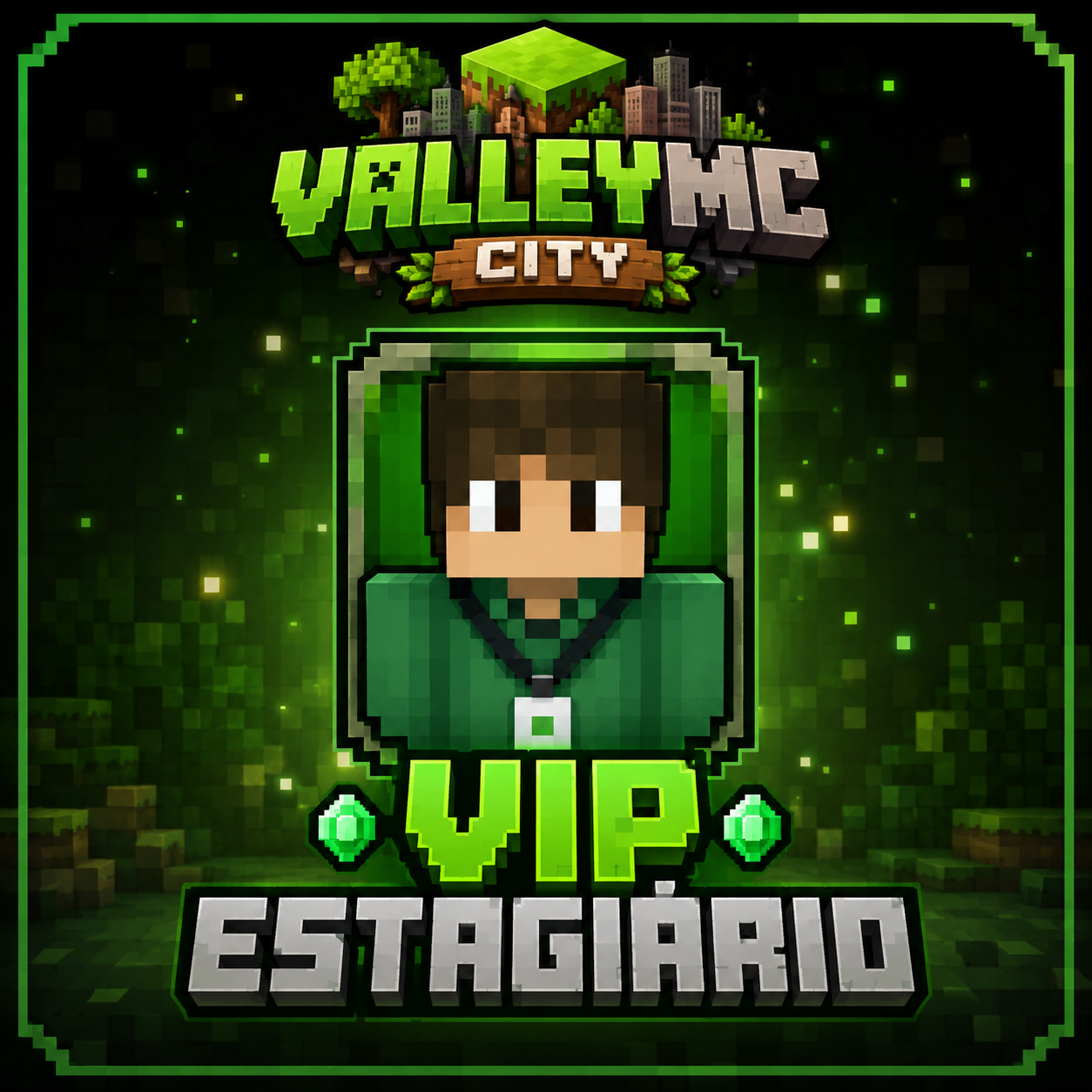 Vip Estagiario